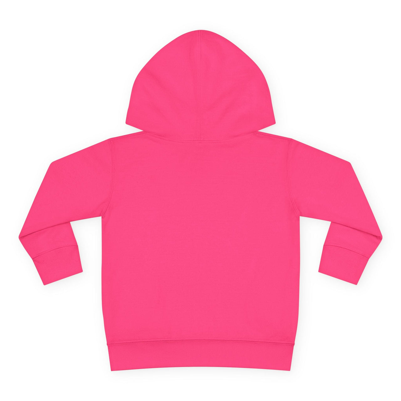 Hardy Psycho Toddler Fleece Hoodie - Sunlit Funlit Country Music Tees
