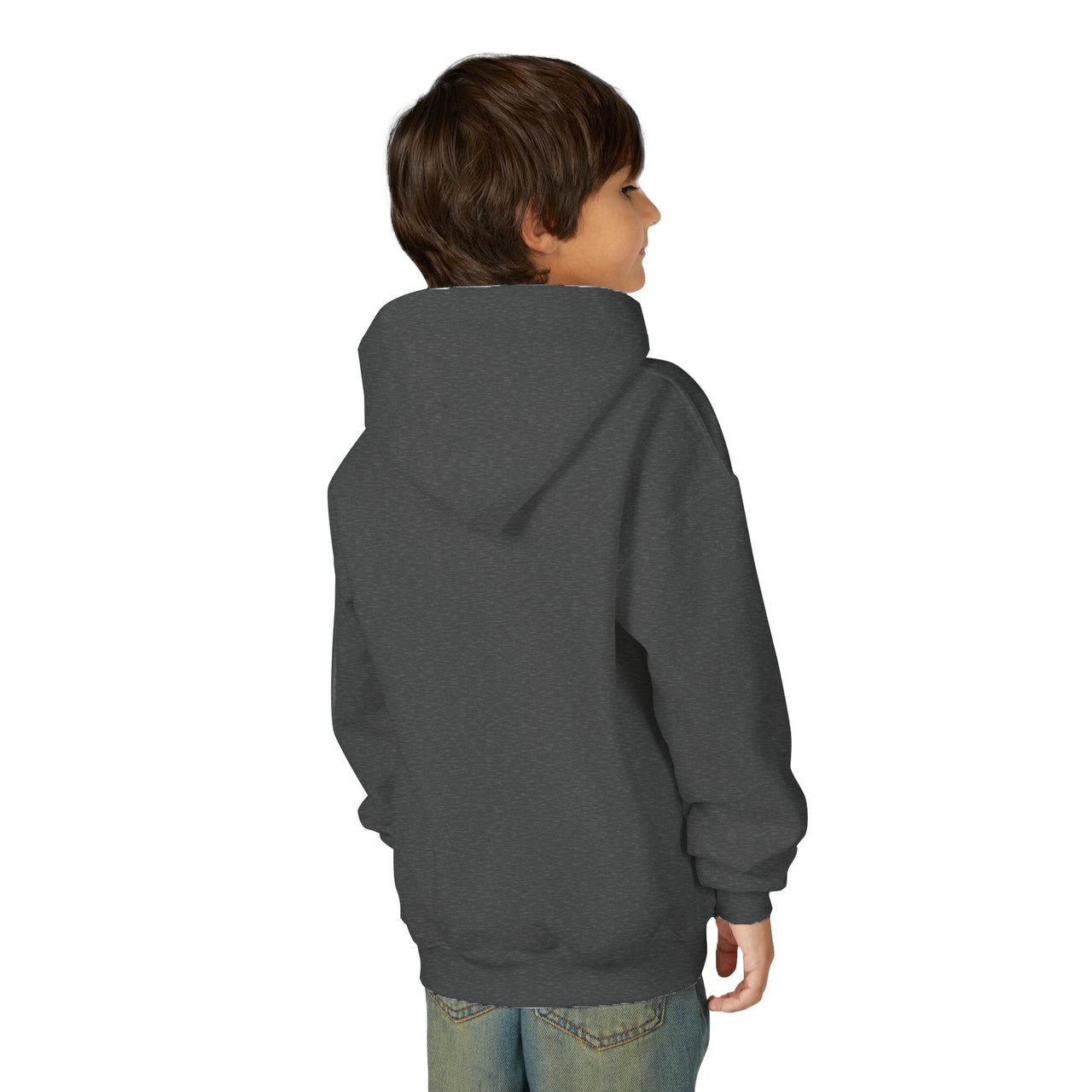 Hardy Psycho Youth Hoodie - Sunlit Funlit Country Music Tees