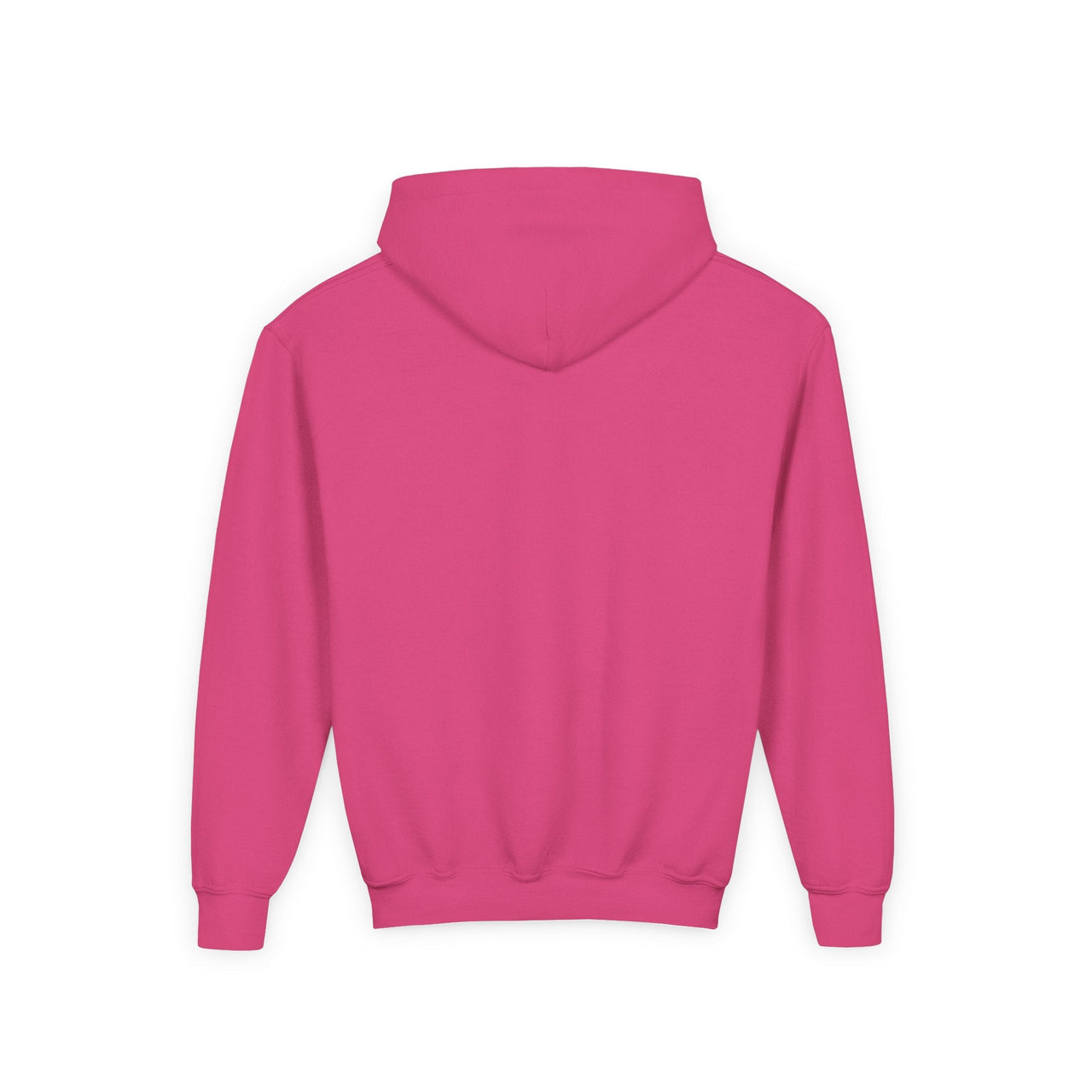 Hardy Psycho Youth Hoodie - Sunlit Funlit Country Music Tees