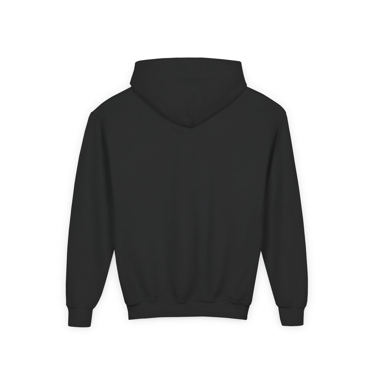 Hardy Psycho Youth Hoodie - Sunlit Funlit Country Music Tees