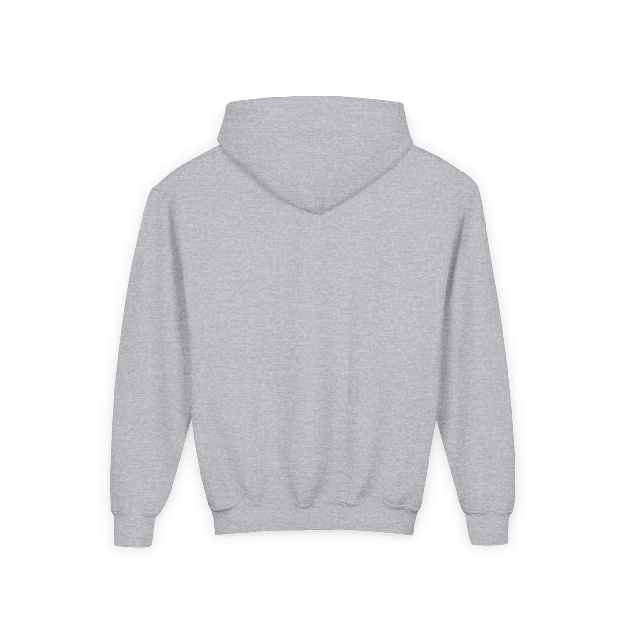 Hardy Psycho Youth Hoodie - Sunlit Funlit Country Music Tees