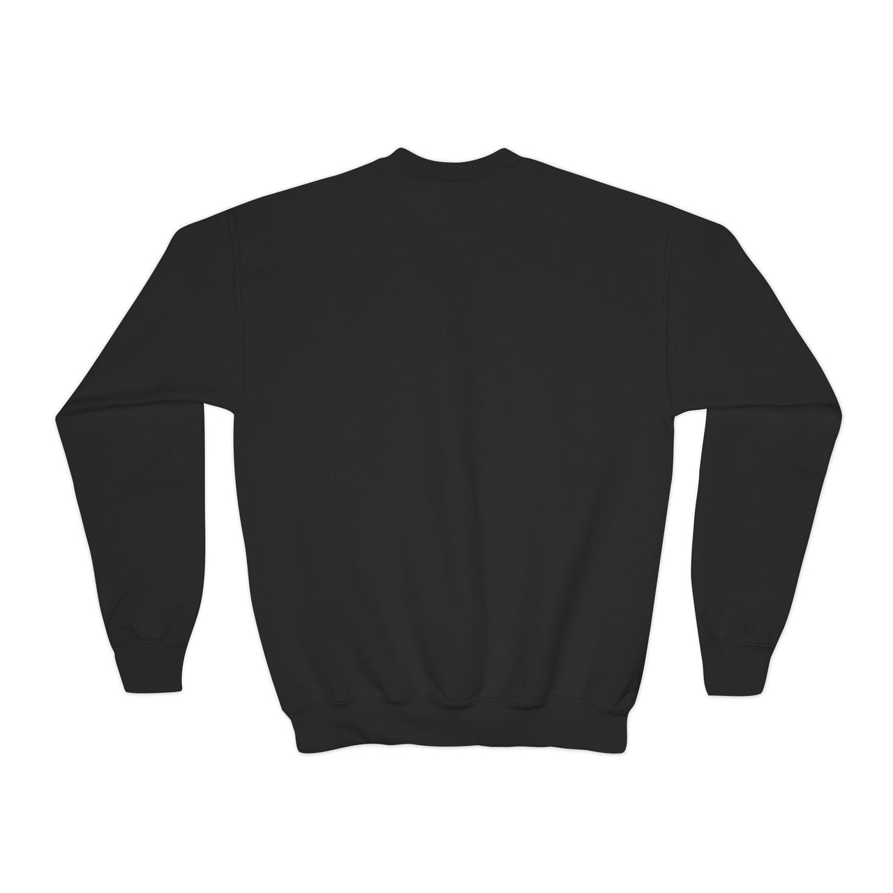 Hardy Psycho Youth Sweatshirt - Sunlit Funlit Country Music Tees