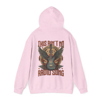 Thumbnail for Hardy Radio Song Hoodie - Adult Unisex - Sunlit Funlit Country Music Tees