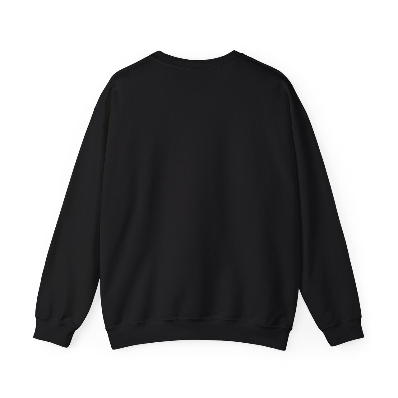 Morgasm Wallen Sweatshirt - Sunlit Funlit Country Music Tees