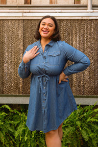 Thumbnail for Midwest Denim Dress