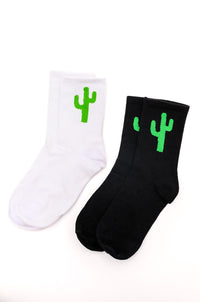 Thumbnail for Sweet Socks Cactus