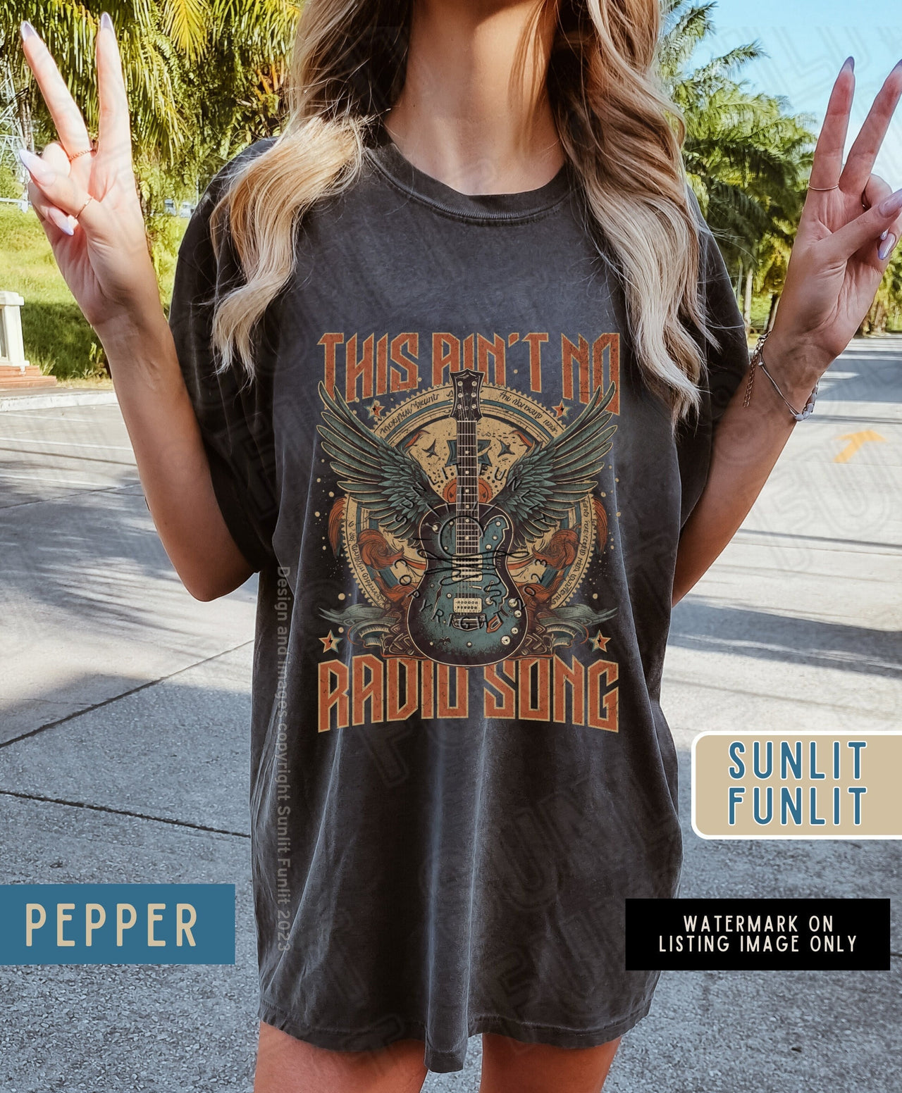 Hardy Shirt for Concert, The Crow, Vintage Inspired Hardy Radio Song Shirt, Comfort Colors Western Graphics Tee, Country Music Concert Tee - SunlitFunlit